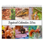 Eichhörnchen Kalender (Titelbild)