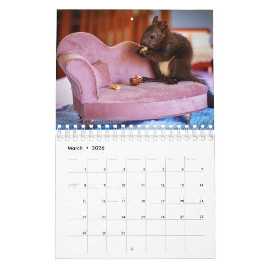Eichhörnchen Kalender (Mär 2026)