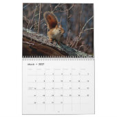 Eichhörnchen Kalender (Mär 2027)