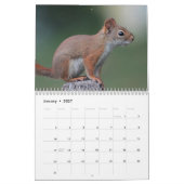 Eichhörnchen Kalender (Jan 2027)