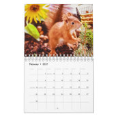 Eichhörnchen Kalender (Feb 2027)