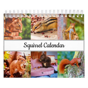 Eichhörnchen Kalender