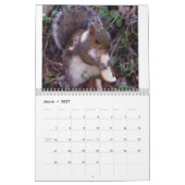 Eichhörnchen Kalender (Mär 2027)
