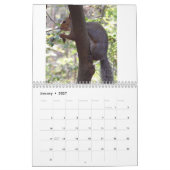 Eichhörnchen Kalender (Jan 2027)