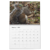 Eichhörnchen Kalender (Feb 2027)