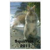 Eichhörnchen-Kalender 2011 Kalender (Titelbild)