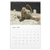 Eichhörnchen-Kalender 2012 Kalender (Mär 2027)