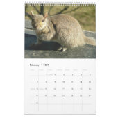 Eichhörnchen-Kalender 2012 Kalender (Feb 2027)