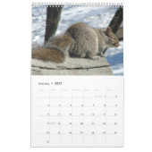 Eichhörnchen-Kalender 2012 Kalender (Jan 2027)