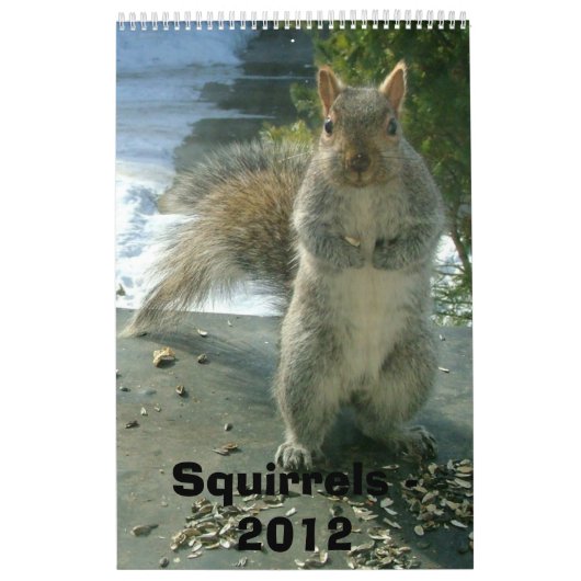 Eichhörnchen-Kalender 2012 Kalender (Titelbild)