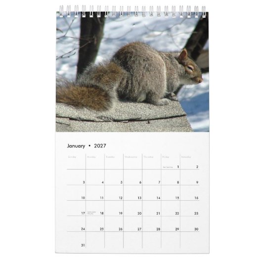 Eichhörnchen-Kalender 2013 Kalender (Jan 2027)