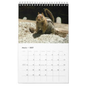 Eichhörnchen-Kalender 2013 Kalender (Mär 2027)