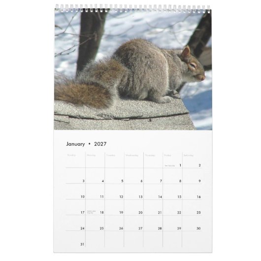 Eichhörnchen-Kalender 2013 Kalender (Jan 2027)