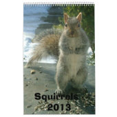 Eichhörnchen-Kalender 2013 Kalender (Titelbild)