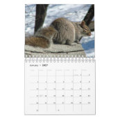 Eichhörnchen-Kalender 2016 Kalender (Jan 2027)