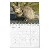Eichhörnchen-Kalender 2016 Kalender (Feb 2027)