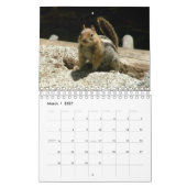 Eichhörnchen-Kalender 2016 Kalender (Mär 2027)