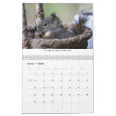 Eichhörnchen-Kalender der Inspirationswand Kalender (Mär 2026)