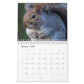 Eichhörnchen-Kalender Kalender (Feb 2027)