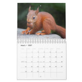 Eichhörnchen-Kalender Kalender (Mär 2027)