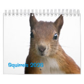 Eichhörnchen-Kalender Kalender (Titelbild)