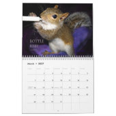 Eichhörnchen-Kalender Kalender (Mär 2027)