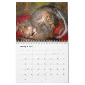 Eichhörnchen-Kalender Kalender (Jan 2027)