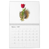 Eichhörnchen-Kalender Kalender (Feb 2027)