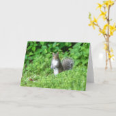 Eichhörnchen Karte (Gelbe Blume)