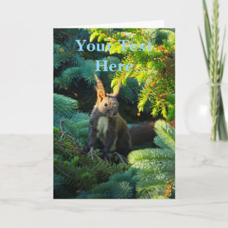 Eichhörnchen Karte
