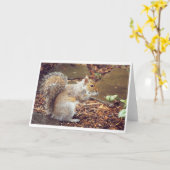 Eichhörnchen Karte (Gelbe Blume)
