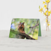 Eichhörnchen Karte (Gelbe Blume)