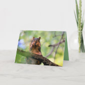Eichhörnchen Karte (Vorderseite)