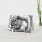 Eichhörnchen Karte (Vorderseite)