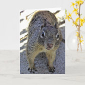 Eichhörnchen Karte (Gelbe Blume)