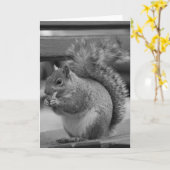 Eichhörnchen Karte (Gelbe Blume)