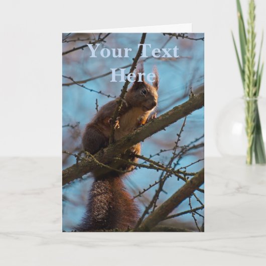 Eichhörnchen karte (Vorderseite)