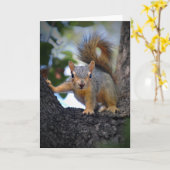 Eichhörnchen Karte (Gelbe Blume)