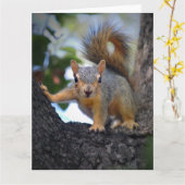 Eichhörnchen Karte (Gelbe Blume)