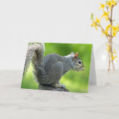 Eichhörnchen Karte (Gelbe Blume)