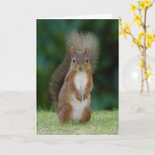 Eichhörnchen Karte (Gelbe Blume)