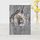 Eichhörnchen Karte (Gelbe Blume)