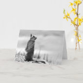 Eichhörnchen Karte (Gelbe Blume)