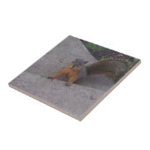 Eichhörnchen Keramik Fliese (Seite)