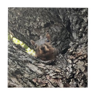Eichhörnchen-Keramik Fliese