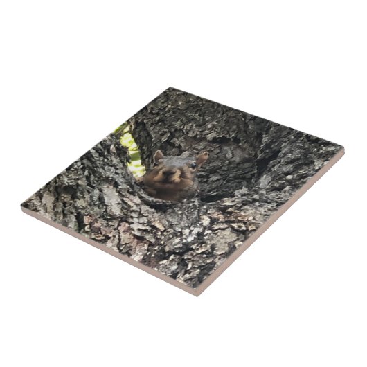 Eichhörnchen Keramik Fliese (Seite)