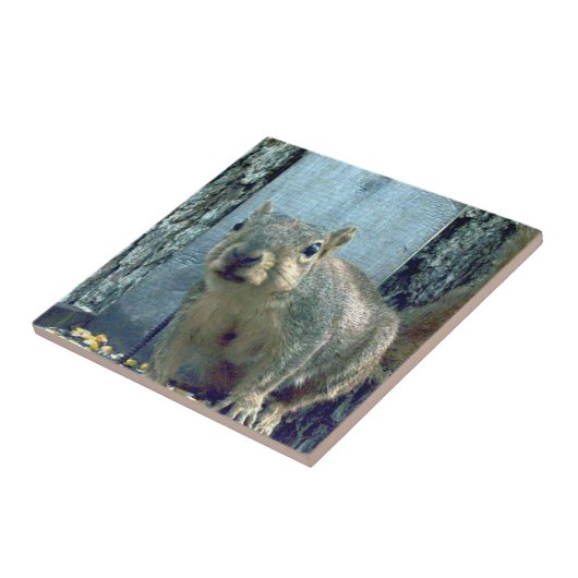 Eichhörnchen Keramik Fliese (Seite)