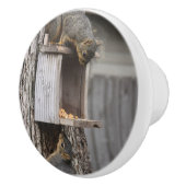 Eichhörnchen-Keramik Keramikknauf (Rechts)