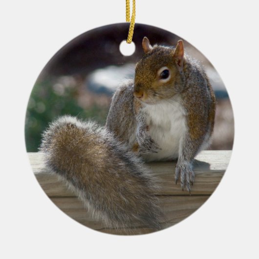 Eichhörnchen Keramik Ornament (Vorne)