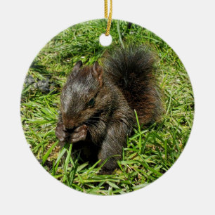 Eichhörnchen Keramik Ornament